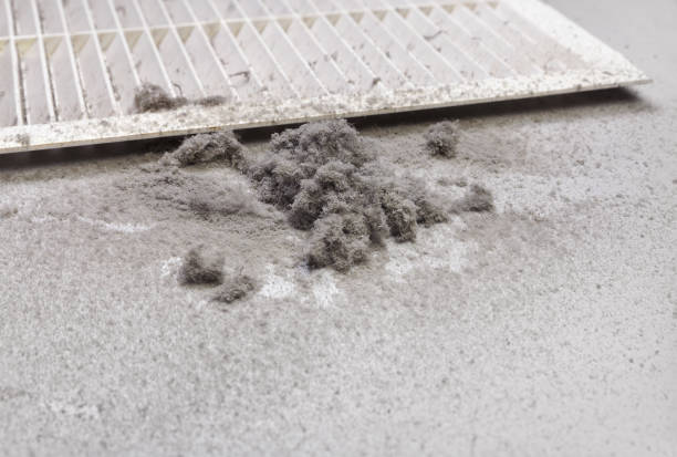 Best Dryer Vent Cleaning Services  in North Key Largo, FL