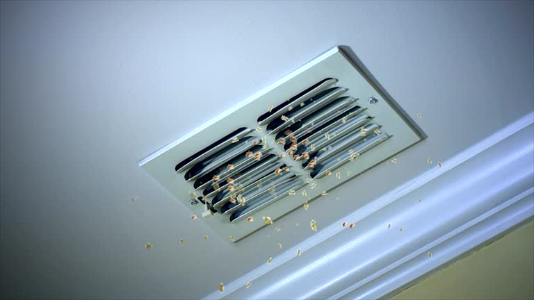 Best Ventilation Cleaning Services  in North Key Largo, FL