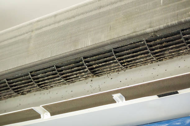 Best Best Air Duct Cleaning Company  in North Key Largo, FL